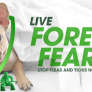 PREVENTION UNLEASHED