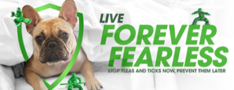 PREVENTION UNLEASHED